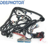 Standalone Wiring Harness Fits LS LS1 Truck '99 - '06 VORTEC W/T56 DBC