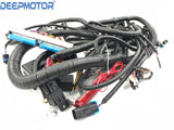 LS Harness Vortec 1999-2006 W/ 4L60E Standalone Wiring Harness,DBC