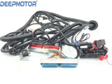 Standalone Wiring Harness Fits LS LS1 Truck '99 - '06 VORTEC W/T56 DBC