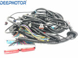 Standalone Wiring Harness (DBW) fits '97-'04 LS1/LS6 W/ T56 Non-Electric Tran