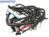 LS Harness Vortec 1999-2006 W/ 4L60E Standalone Wiring Harness,DBC